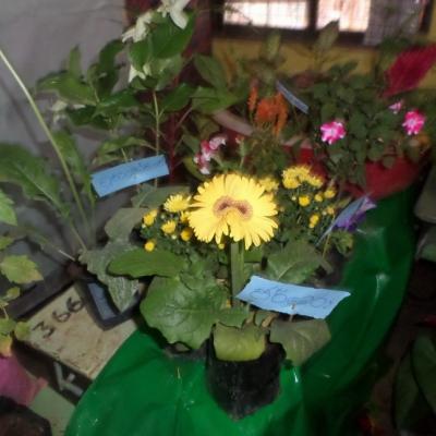 Educational Fair 03